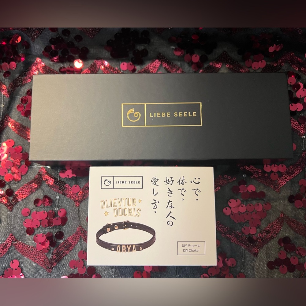 Liebe Seele DIY Leather Choker w/Charms NIB